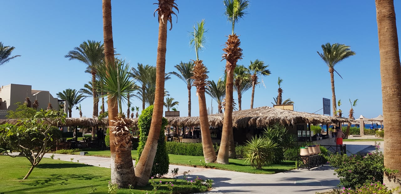 Gartenanlage Jaz Makadi Oasis Resort