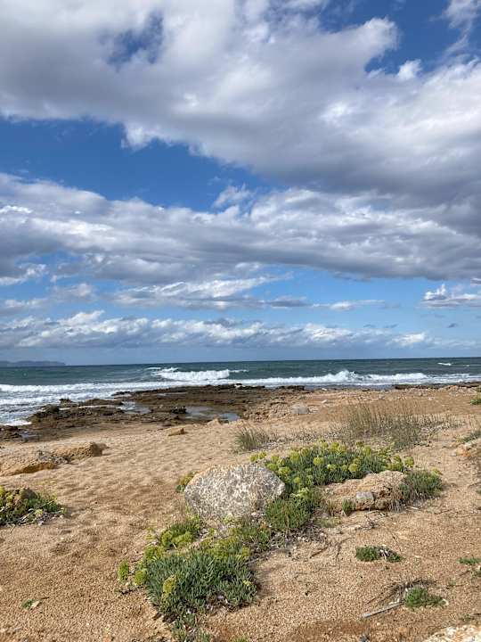 Außenansicht Es Blau des Nord