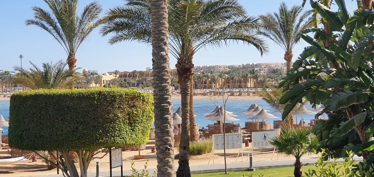 Garten Steigenberger Coraya Beach - Adults only