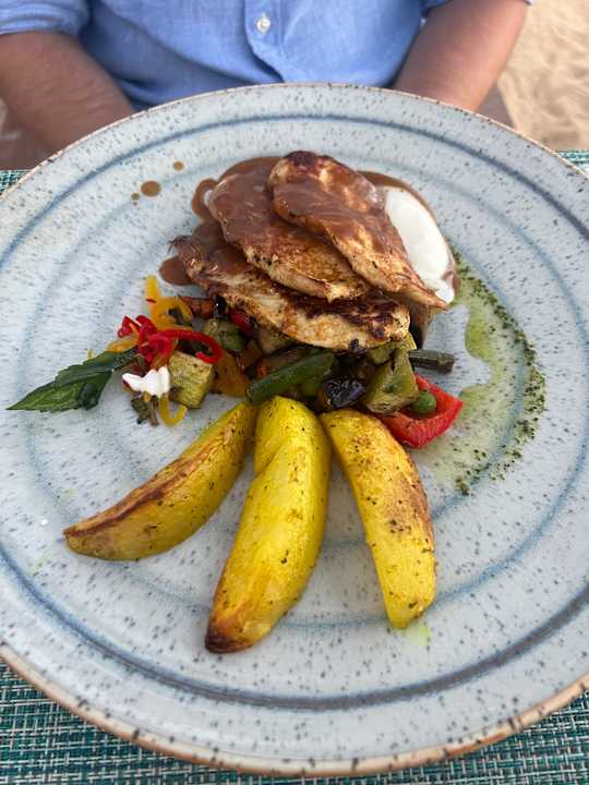 Gastro JAZ Elite Amara