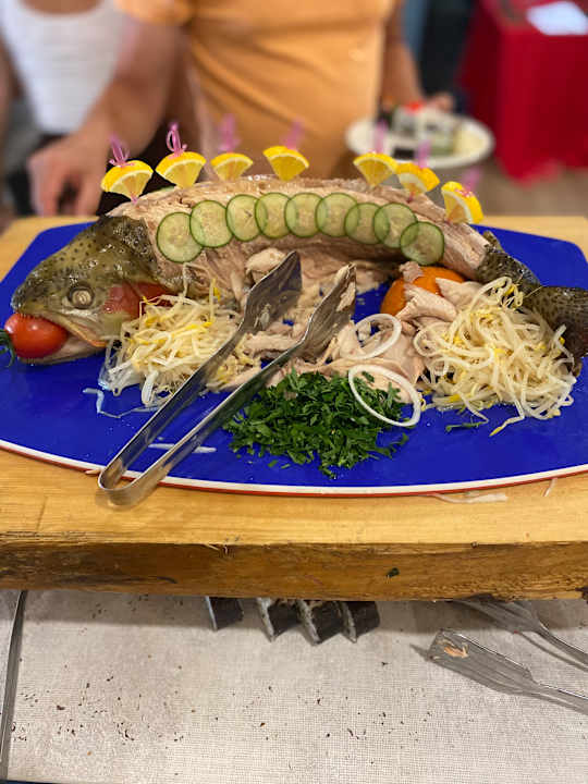 Gastro Dream Fun World