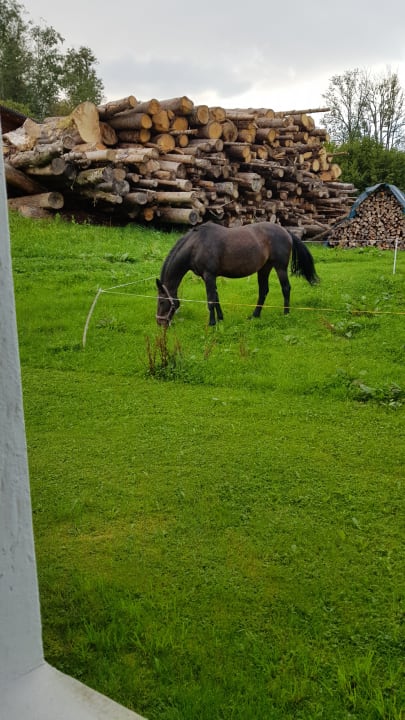 Gartenanlage Naturhotel Reissenlehen