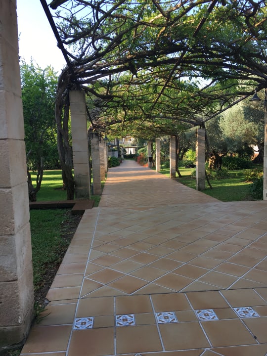 Gartenanlage Zafiro Mallorca