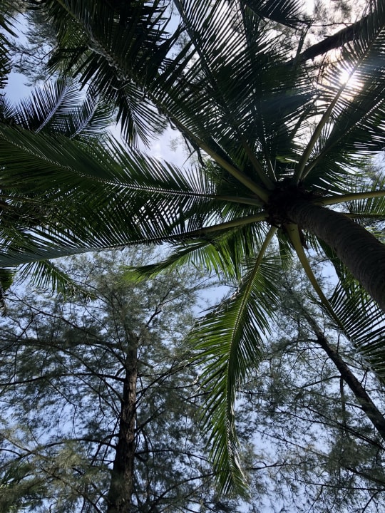 Außenansicht Best Western Premier Bangtao Beach Resort & Spa