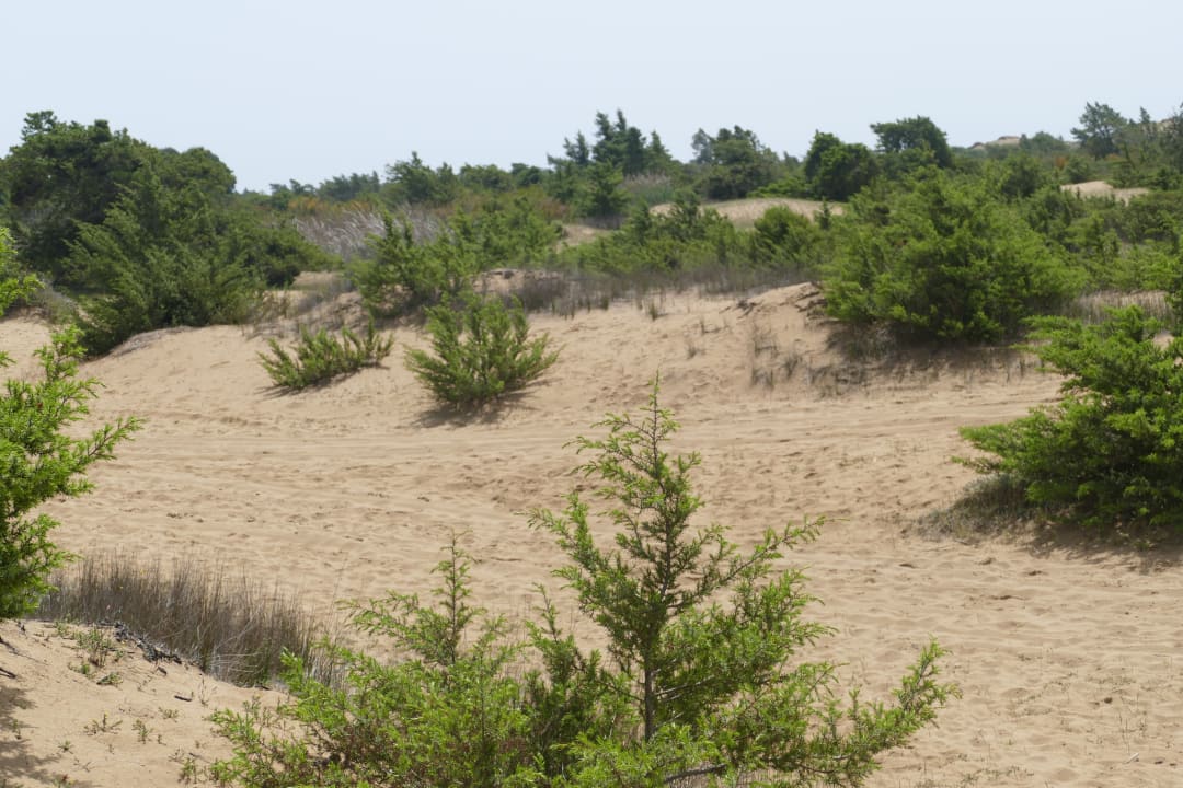 Strand Sandy Villas Resort