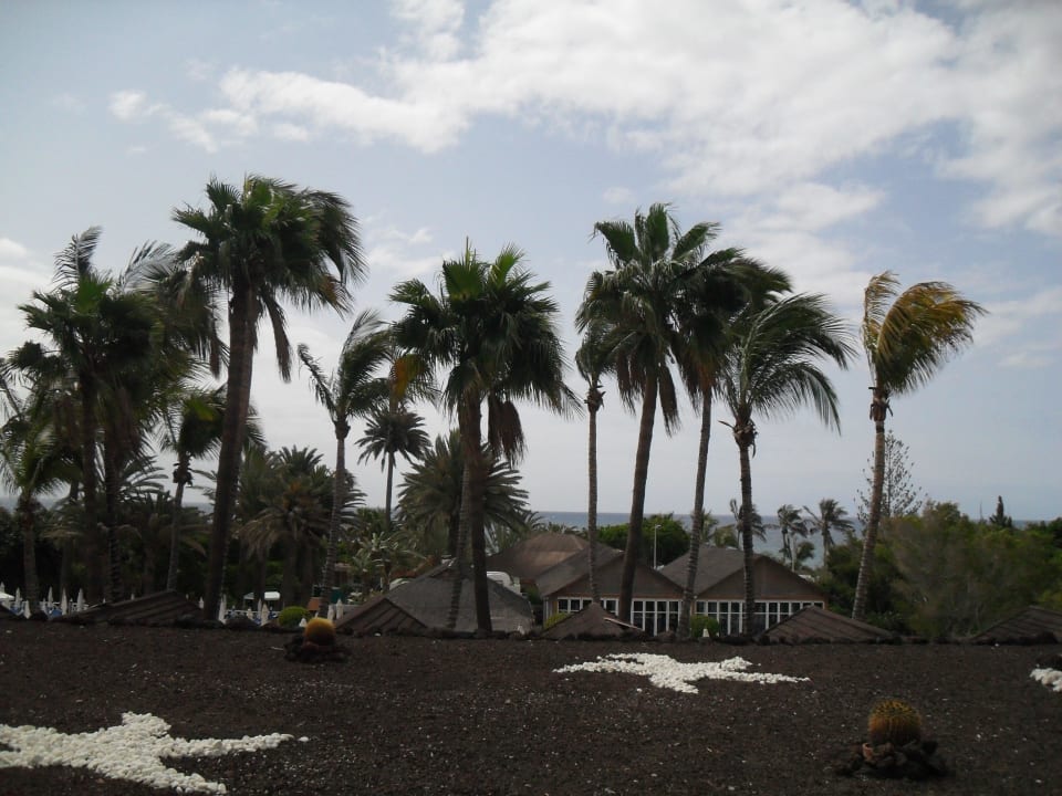 Ausblick vom Zimmerbalkon Bull Costa Canaria & Spa - Adults only