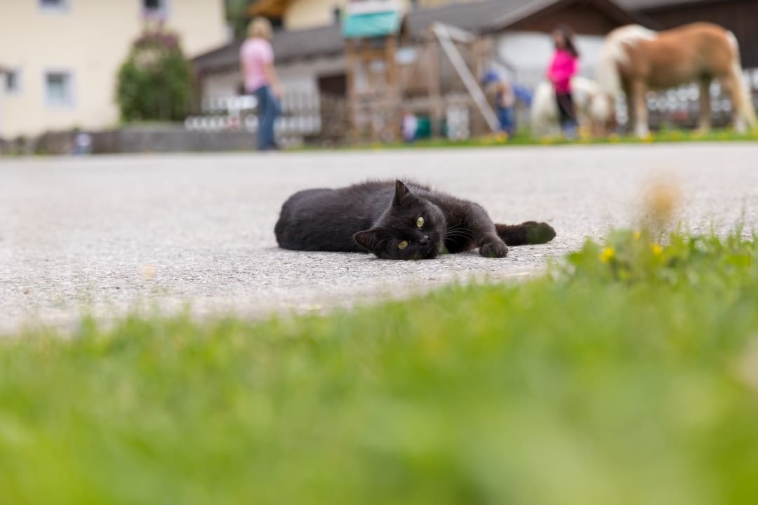 Sonstiges Pension Hieserhof