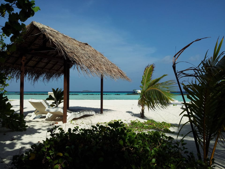 Ostseite Summer Island Maldives