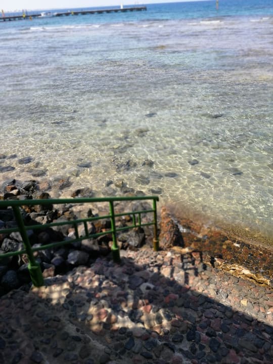 Ausblick Desert Rose