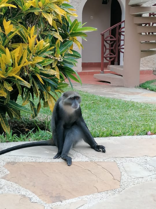 Gartenanlage Neptune Paradise Beach Resort & Spa