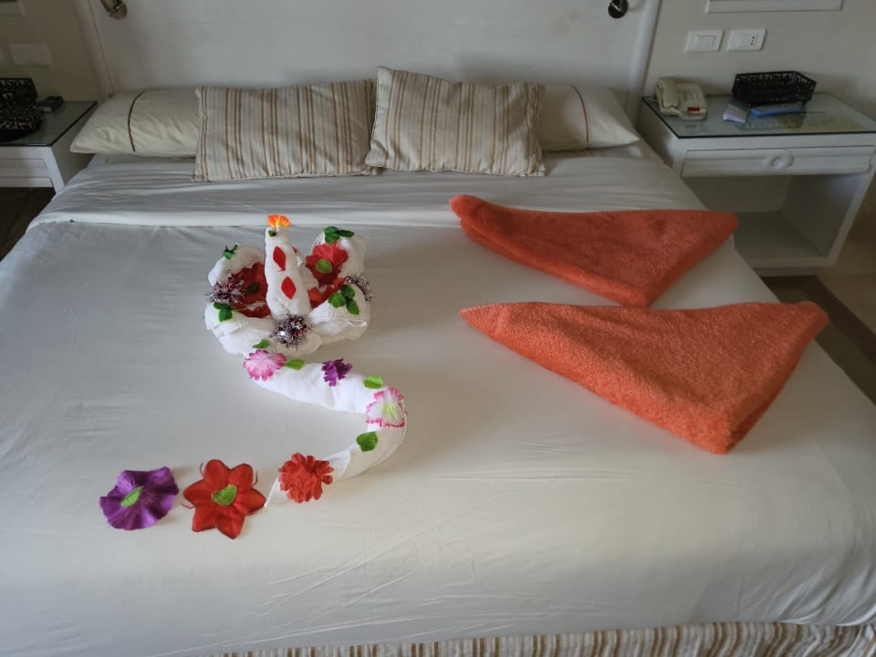 Zimmer Hotel JAZ Makadi Star & Spa