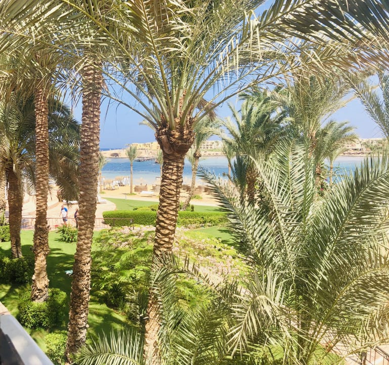 Ausblick Steigenberger Coraya Beach - Adults only