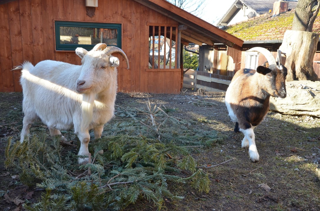 Sport & Freizeit Wildgatter Ferienappartements