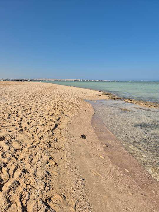 Strand JAZ Elite Asteria