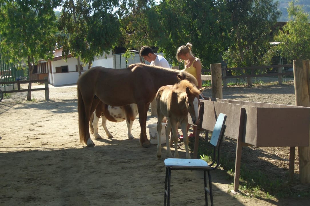 Der Reitstall Aqua Fantasy Aquapark Hotel & Spa