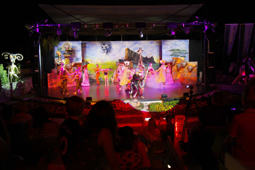 König der Löwe  PALOMA Perissia