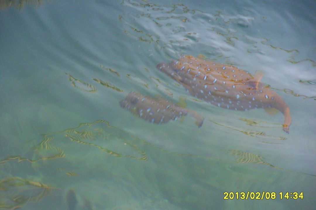 Xxxx SUNRISE Crystal Bay Resort