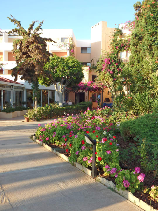 Der Weg zum Frühstück Anissa Beach & Village