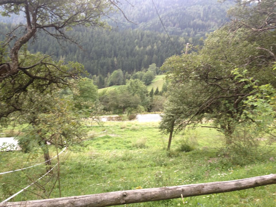 Bienenalm LUXGUT - OLIVIA