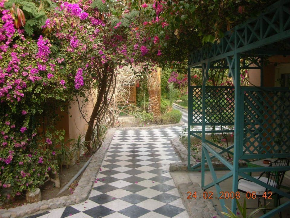 Anlage Giftun Azur Resort