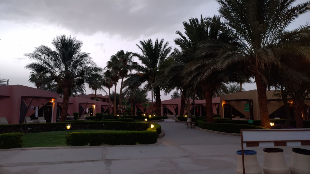 Gartenanlage Eagles Paradise Abu Soma