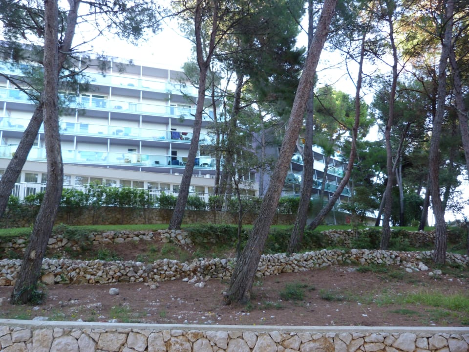 Blick aufs Hotel Hotel Aurora