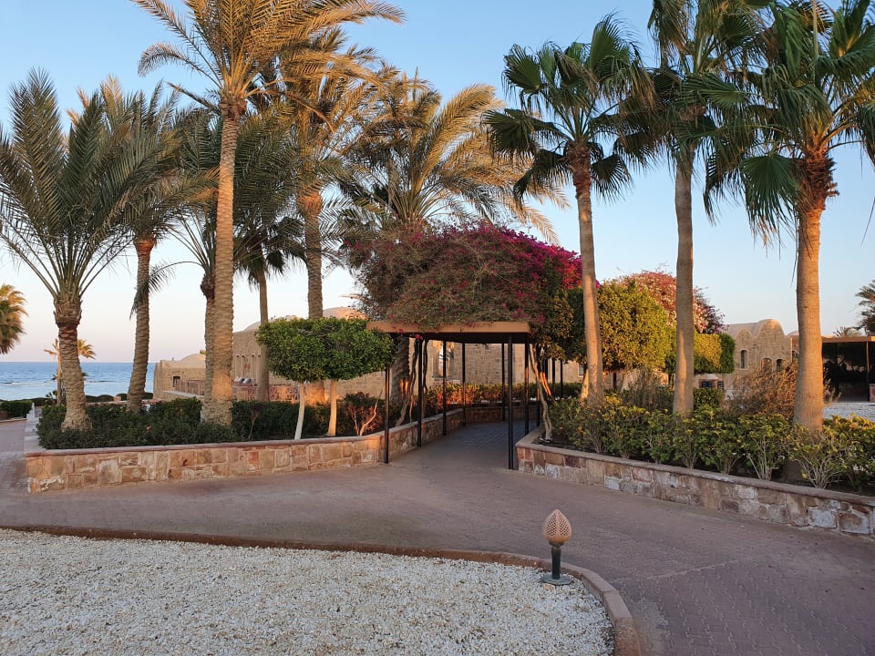 Gartenanlage Mövenpick Resort El Quseir