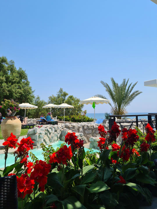 Pool Hotel Calypso Beach