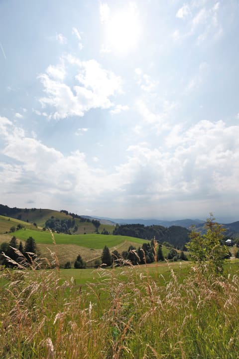 Ausblick Zähringer Hof