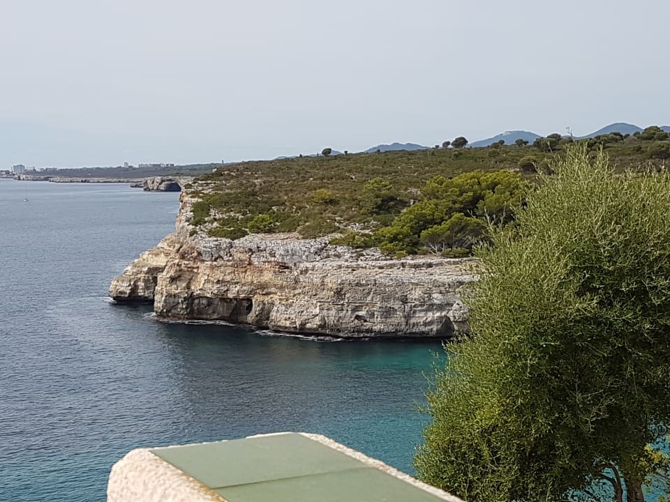 Zimmer blau punta reina