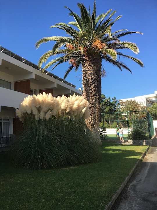 Gartenanlage Civitel Creta Beach