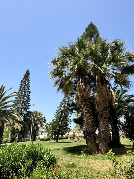 Gartenanlage Sentido Bellevue Park