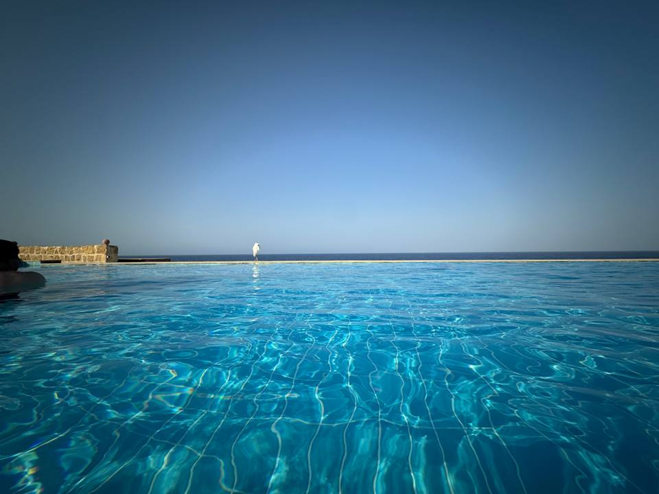 Pool The Oasis Dive Resort