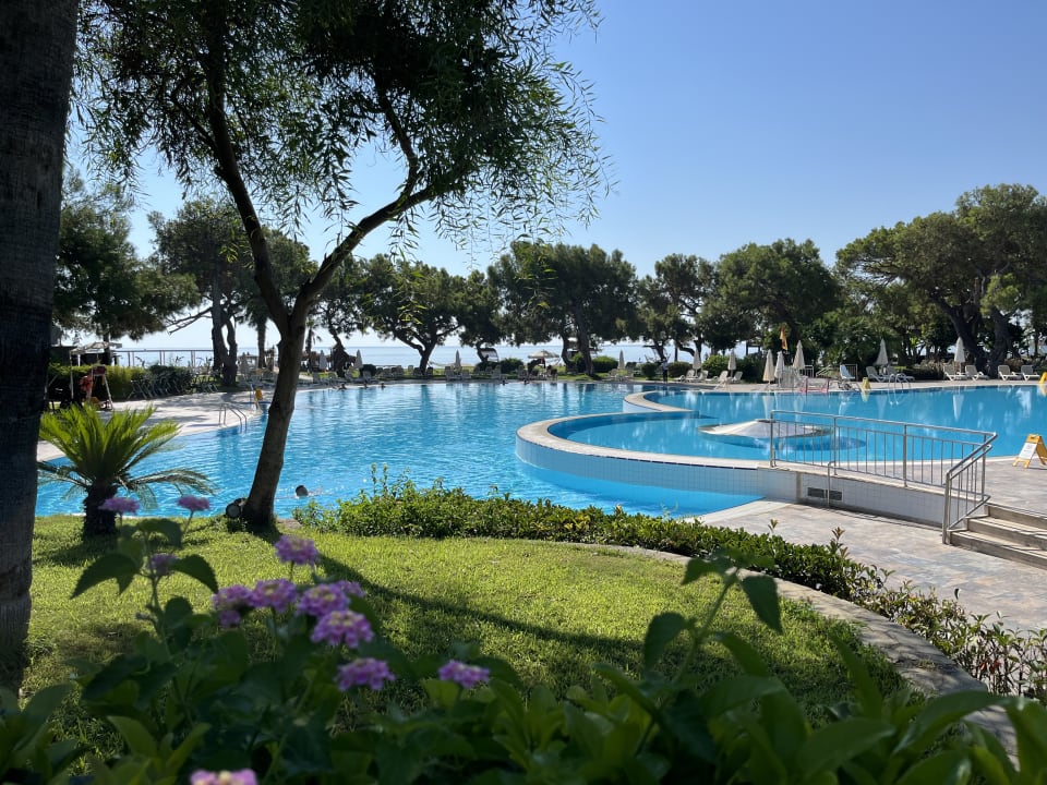 Pool TUI MAGIC LIFE Beldibi +16