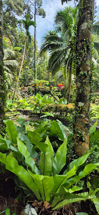 Gartenanlage Khao Lak Merlin Resort