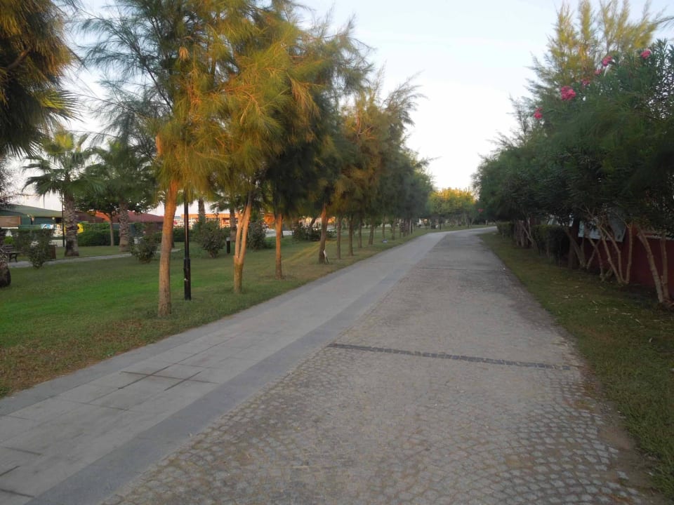 Strandpromenade Royal Taj Mahal Hotel