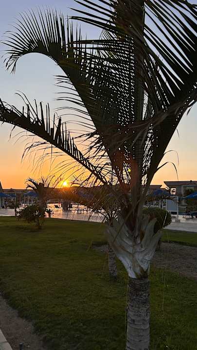 Gartenanlage Pickalbatros Sea World Resort - Marsa Alam
