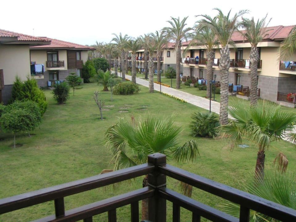 Aussicht nach links von unserem Balkon TUI BLUE Palm Garden