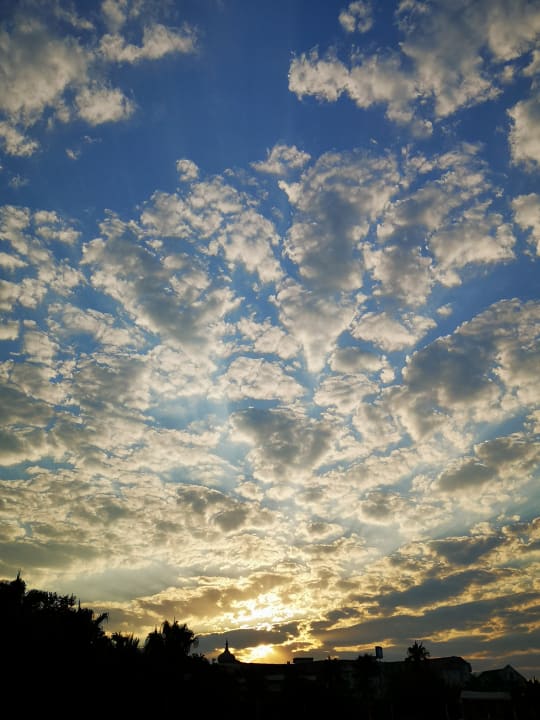 Ausblick Hotel Gardenia Beach