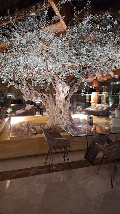 Gartenanlage allsun Hotel Cormoran