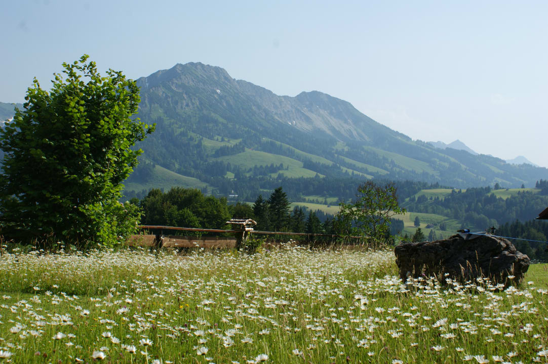 Außenansicht Bauernhof Haus Edelweiss