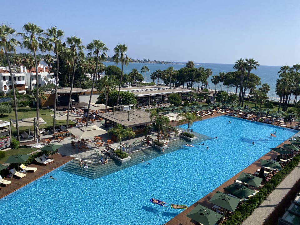 Pool Acanthus Cennet Barut Collection