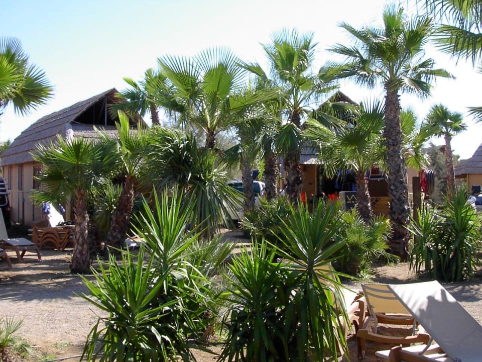 Garten Tiki Kreisel Hotel Kon Tiki