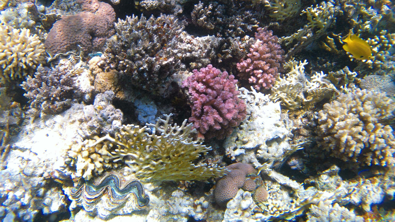 Sport & Freizeit Makadi Spa - Adults only