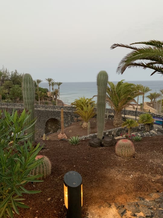 Gartenanlage R2 Rio Calma Hotel & Spa & Conference