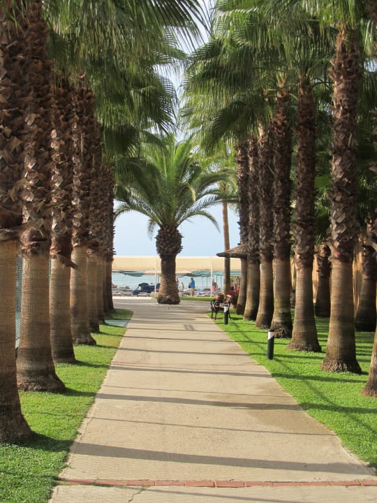 Weg zum Strand Miramare Queen Hotel