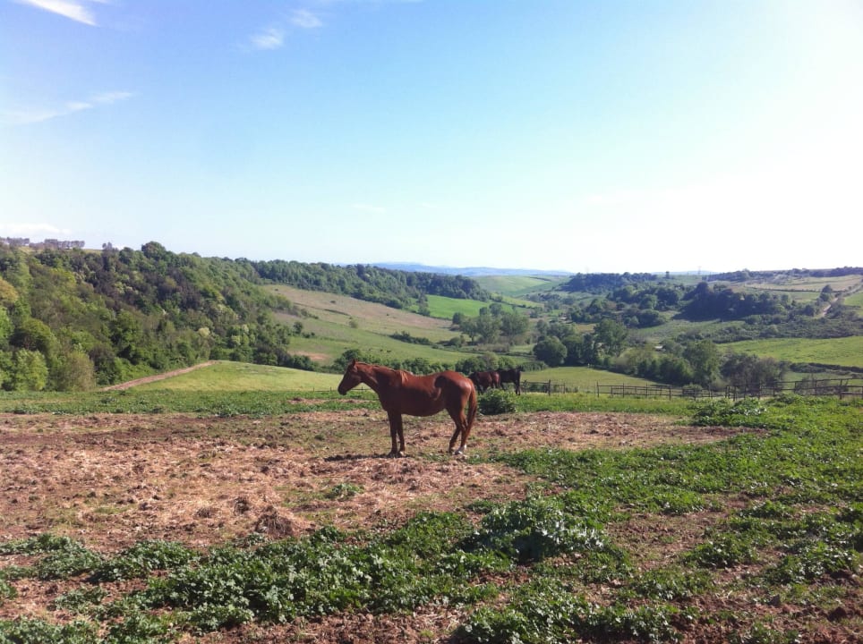 Nature Casa Caponetti