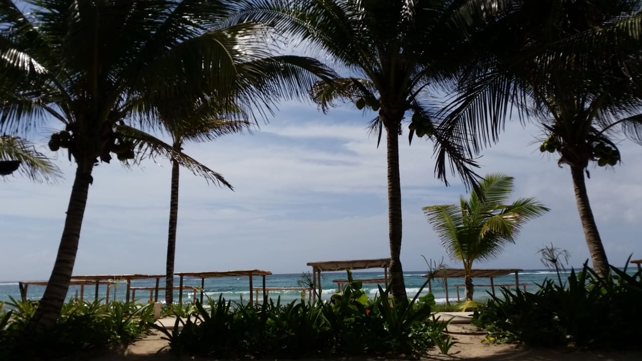 Strand Akumal Bay Beach & Wellness Resort