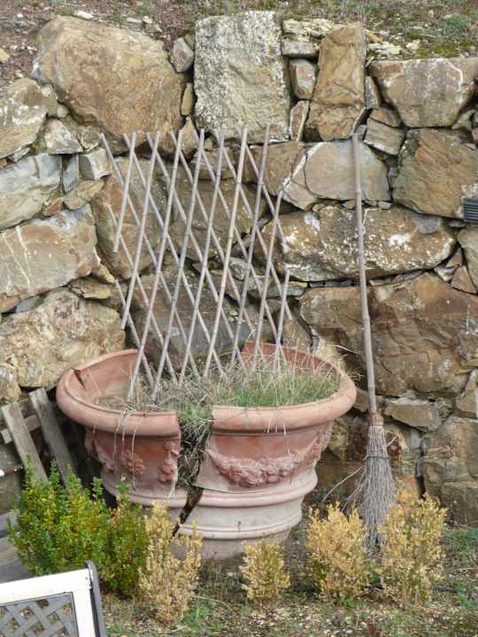 Nicht frostsicher Hotel Podere Palazzolo