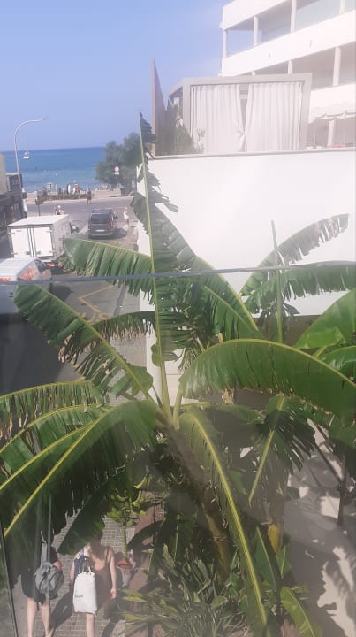 Ausblick allsun Hotel Marena Beach